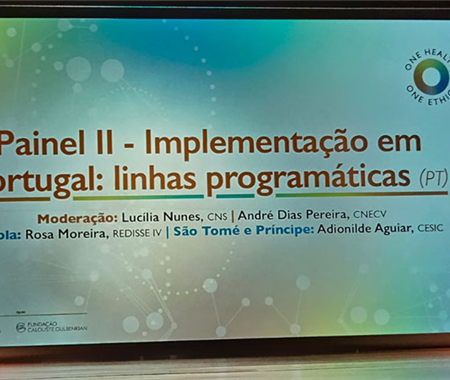 A delegação angolana é chefiada pela Gestora Técnica do Projecto Regional de Melhoria dos Sistemas de Vigilância de Doenças, Redisse IV-Angola, Dra. Rosa Moreira. (3 of 5)