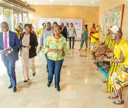 Quarta Reunião do CDR do Projecto Regional de Fortalecimento dos Sistemas de Vigilância de Doenças na África Central (REDISSE IV) (16 of 21)