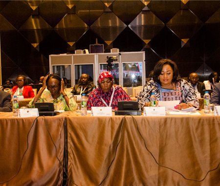 Quarta Reunião do CDR do Projecto Regional de Fortalecimento dos Sistemas de Vigilância de Doenças na África Central (REDISSE IV) (3 of 21)