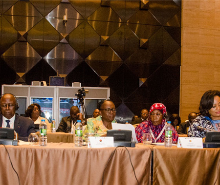 Quarta Reunião do CDR do Projecto Regional de Fortalecimento dos Sistemas de Vigilância de Doenças na África Central (REDISSE IV) (8 of 21)